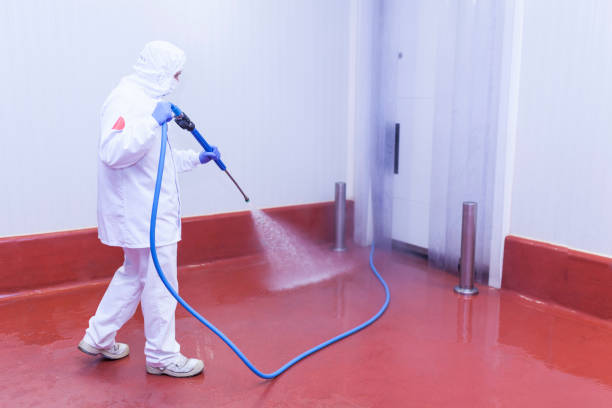 Best Driveway Pressure Washing  in Juarez, TX